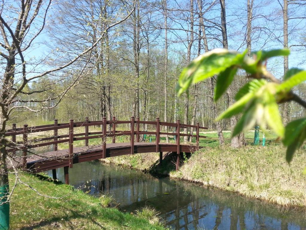 Gosciniec Kipnick Szczytno (Warmian-Masurian) Exterior photo